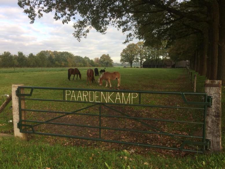 Stichting De Paardenkamp