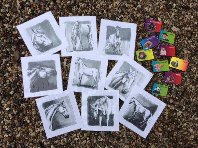 paarden emotie kaarten